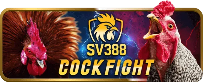 Ưu đãi chào mừng thành viên mới K8bet
